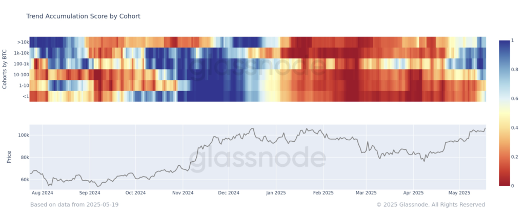 نمودار امتیاز روند انباشت سرمایه‌گذاران بیت کوین - منبع: Glassnode